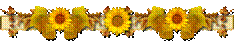 C:\Users\olgank\Desktop\63342769_023272073.png