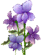 http://i022.radikal.ru/0805/72/9baa47e06a74.png