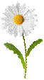 http://zelovera.com/wp-content/uploads/2013/04/image002.png