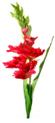 http://www.yuterra.ru/upload/images/15/37/1263715.jpg