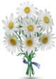 http://vk.com/images/gifts/256/201.jpg