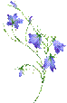 http://img1.liveinternet.ru/images/attach/b/4/104/640/104640613_3f5a460756a5300.png