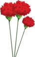 http://png.clipart.me/previews/634/carnation-flower-gvozdika-4-41018.jpg
