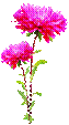 http://img1.liveinternet.ru/images/attach/b/4/112/909/112909813_0_7e7b1_9c003b93_XXXL.png