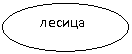 Овал: лесица