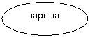 Овал: варона