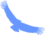 condor.gif