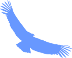 condor.gif