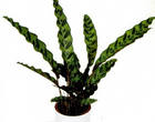 i?id=46757469-15