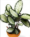i?id=26302928-13
