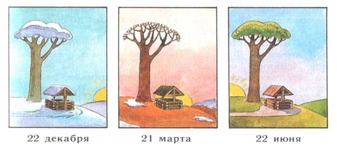 Seasons_6a