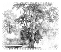 C:\Documents and Settings\sao\Рабочий стол\клуб\433368_original.jpg