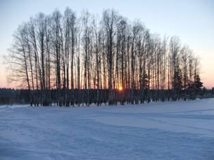 D:\Зима\DSCF5776.JPG