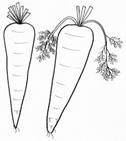 C:\Users\�������������\Desktop\legume-01.jpg