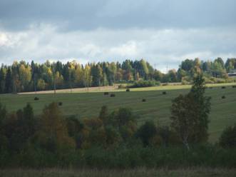D:\Осень 2006\DSCF1831.JPG