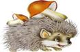 C:\Users\Администратор\Desktop\images.jpeg