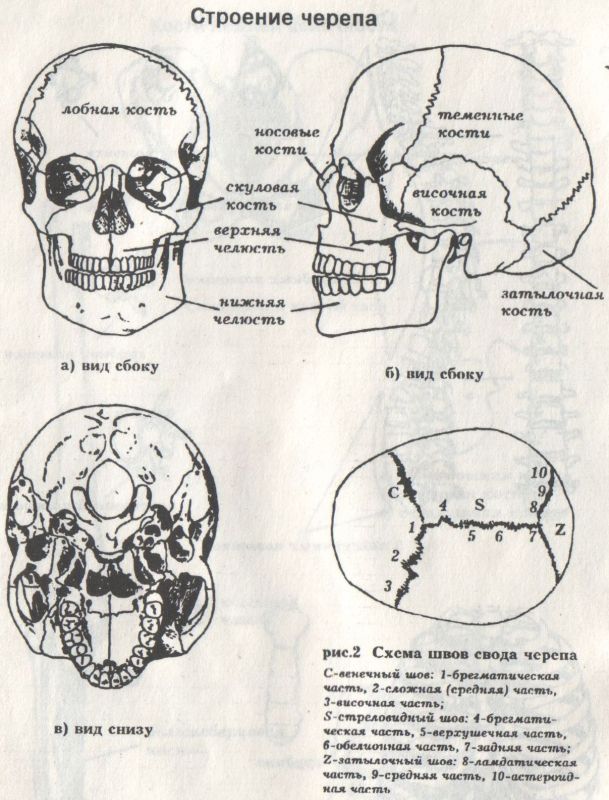 ПРИЛОЖЕНИЕ 14
