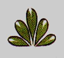C:\Users\Людмила\Pictures\2011-02-13