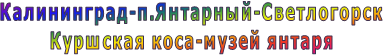 Калининград-п.Янтарный-Светлогорск
Куршская коса-музей янтаря