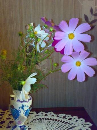 C:\Users\��������\Pictures\����1096.jpg