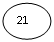 ����: 21