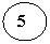 ����: 5