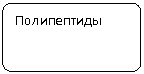 ����-�����: �������������� �������: �����������