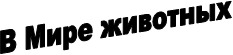 � ���� ��������