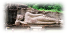 PINNAWALA.jpg"