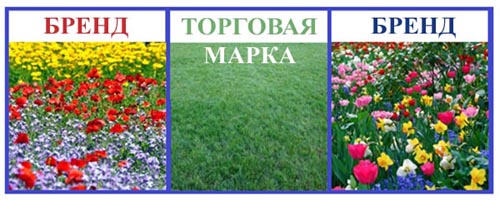 http://www.noomarketing.net/sites/default/files/images/otlichie-brenda-ot-torgovoy-marki-shema.jpg