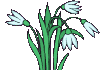 D:\������