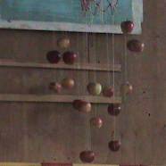 D:\23 �������\DSC01422.JPG