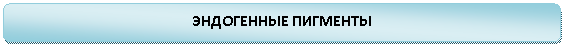����������� �������������: ���������� ��������