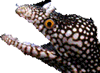 murena