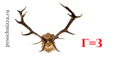 C:\Users\��������\Desktop\rebus-dlya-detej-tsvety-6.png