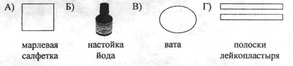 C:\Documents and Settings\shapovalova_vs\Рабочий стол\6.jpg