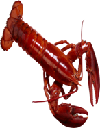 179ca475cda4.png
