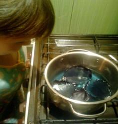 J:\Почему желтеют листья\Фото0348.jpg