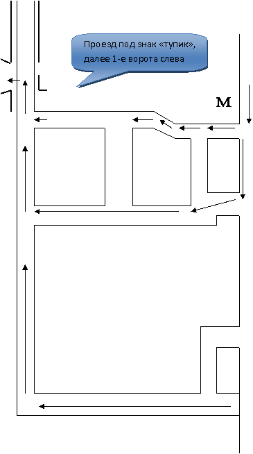 Т,М