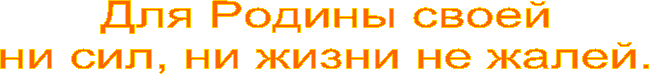 Для Родины своей
ни сил, ни жизни не жалей.