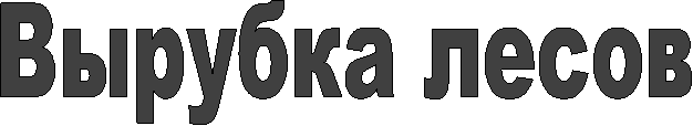 Вырубка лесов
