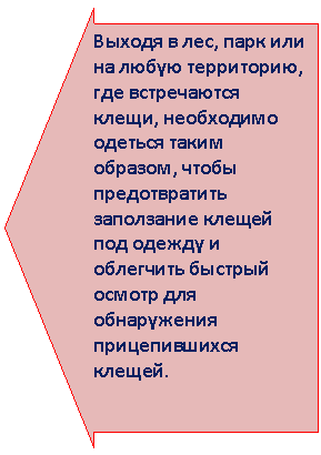 Стрелка