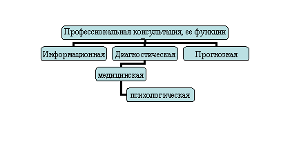 Организационная диаграмма