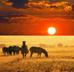 C:\Users\������\Desktop\������������ �.������\Animals_Wild_artiodactyls_Zebra_at _.jpg
