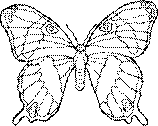 Image1218.gif