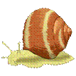 D:\Диски