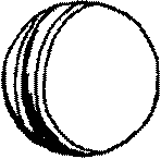 Image316.gif
