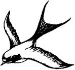 Image246.gif