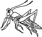 Image232.gif