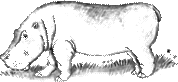 Image28.gif